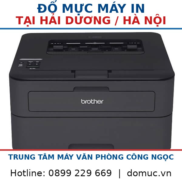 May In Brother 2361d