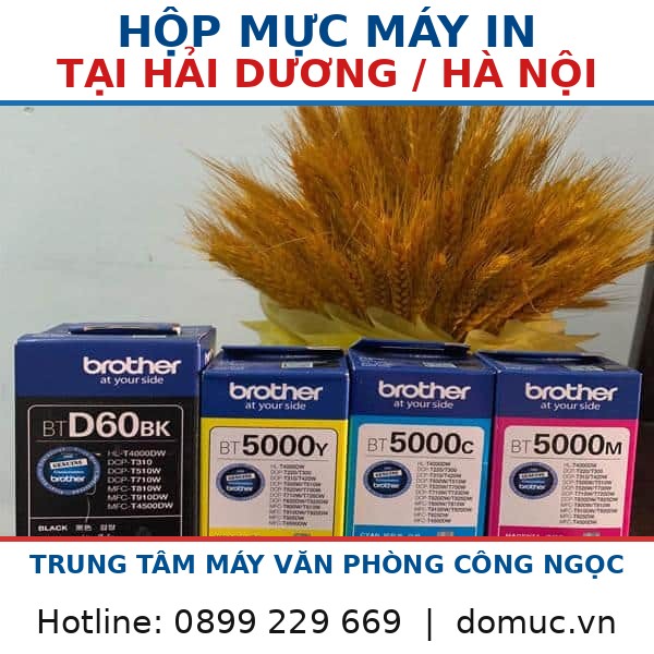 Hop Muc Brother T310