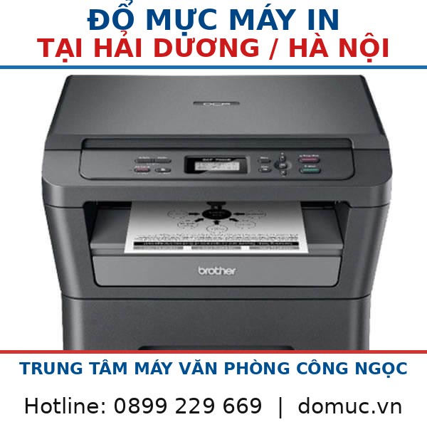 May In Brother D