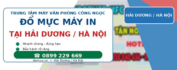 Do Muc May In Brother Mfc Lcdw